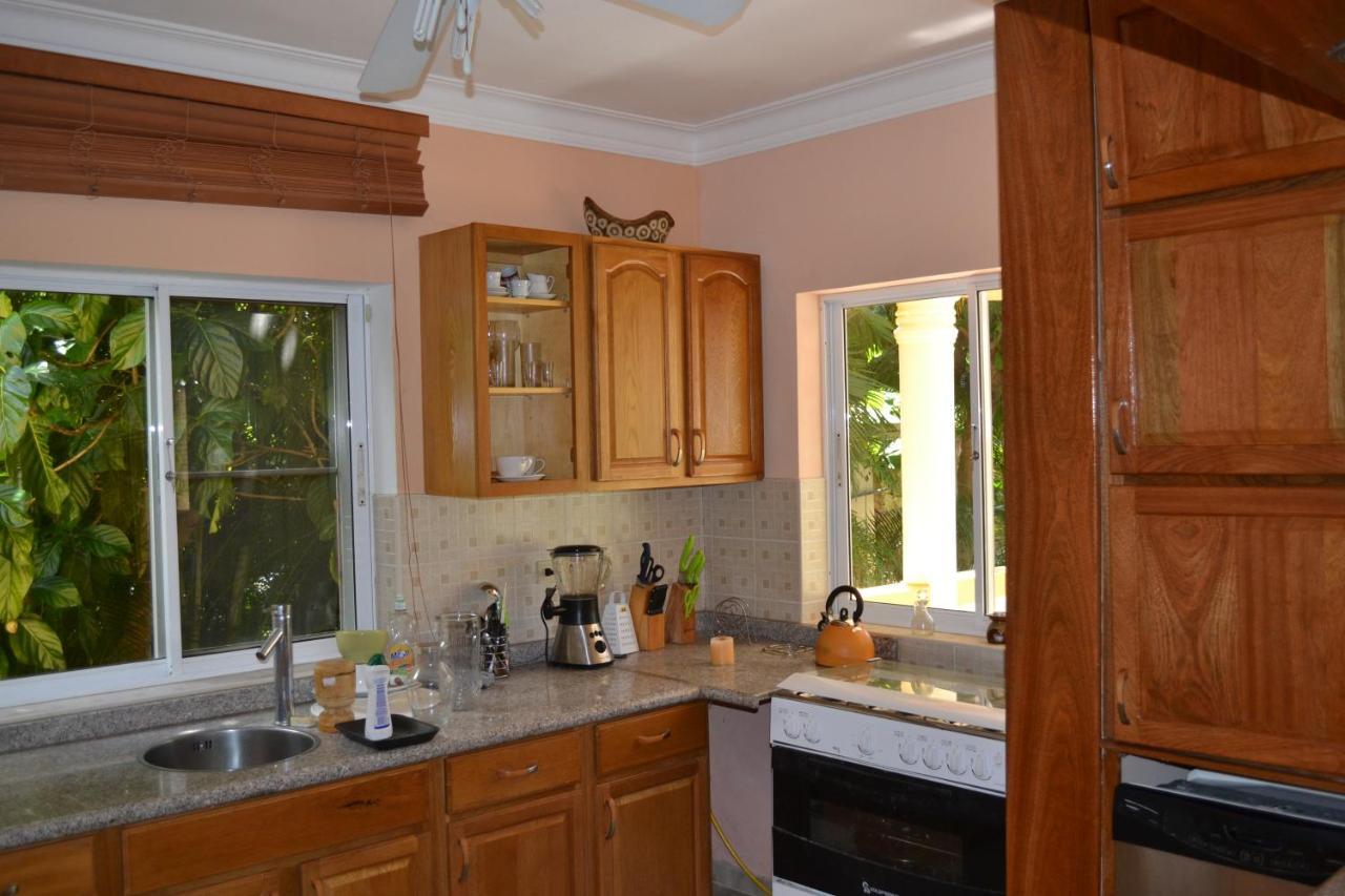 4 Bedroom Villa, Security, Private Pool, Ocean View Sosúa Kültér fotó